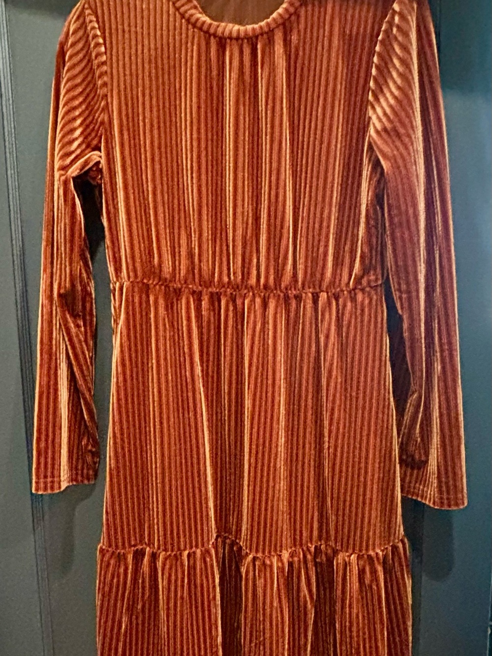 SHEIN Rust Velvet Long Sleeve Maxi Dress
